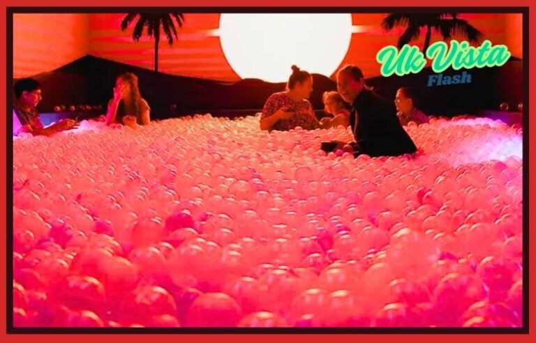 Dopamine Land Complete Visitor Guide And Experience Overview